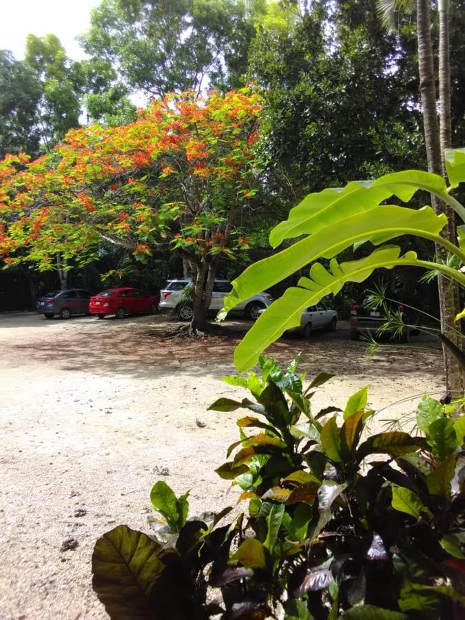 Villas Ecotucan Bacalar Ngoại thất bức ảnh