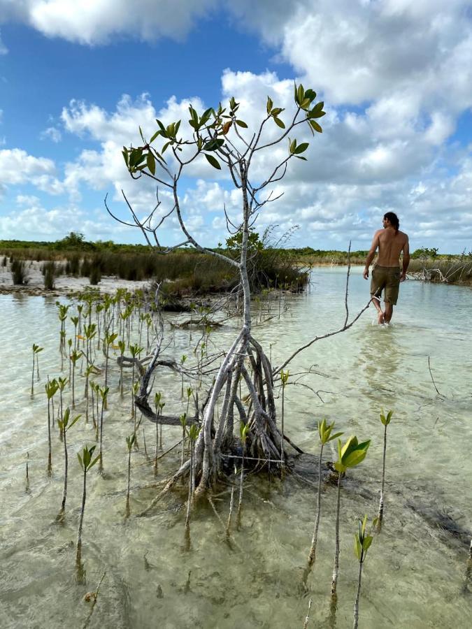 Villas Ecotucan Bacalar Ngoại thất bức ảnh