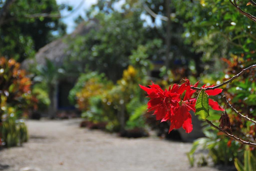 Villas Ecotucan Bacalar Ngoại thất bức ảnh